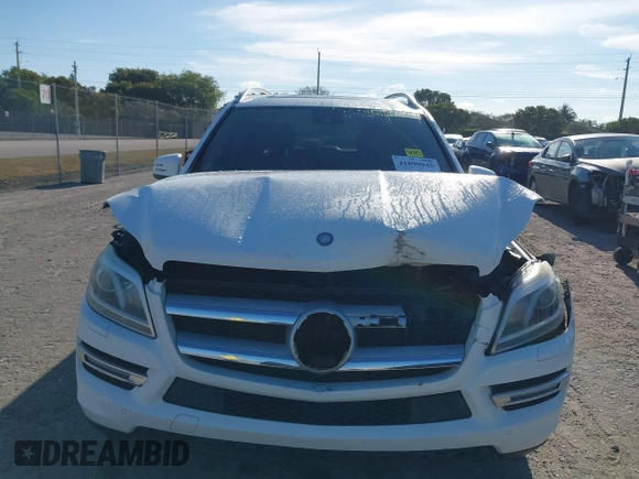 2014 Mercedes-Benz GL-Class GL 450 with VIN 4JGDF7CE1EA387056, listed as a IAAI auction lot 41899945 with 126,842 mi miles. Bid and sale history available at carsss.com. Image 13.