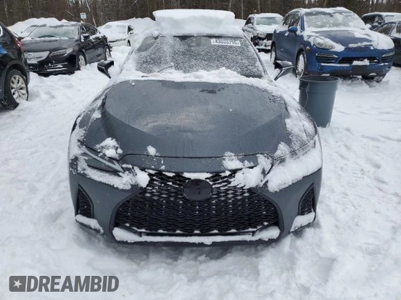 2021 Lexus IS with VIN JTHG81F24M5046606, listed as a Copart auction lot 43003795 with 95,641 mi miles and Salvage Title. Bid and sale history available at carsss.com. Image 5.