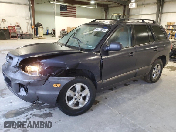 2006 Hyundai Santa Fe GLS with VIN KM8SC13D16U105454, listed as a Copart auction lot 44218575 with 118,579 mi miles and Clean Title. Bid and sale history available at carsss.com. Image 1.