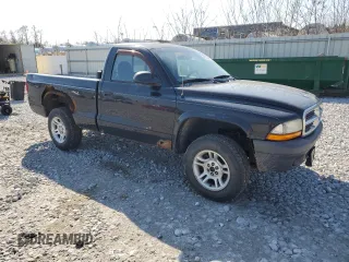 2004 Dodge Dakota with VIN 1D7GG16K54S588745, listed as a Copart auction lot 48946065 with 123,803 mi miles and Salvage Title. Bid and sale history available at DreamBid. Image 4.