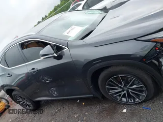 2024 Lexus NX 250 с VIN 2T2ADCAZ5RC006589, выставлен на аукционе IAAI как лот 41975513 с пробегом Не указан миль и . История ставок и продаж доступна на DreamBid. Изображение 13.
