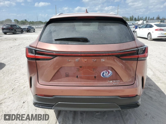 2025 Lexus NX 350 Premium with VIN 2T2GGCEZ6SC076703, listed as a Copart auction lot 54664795 with 4,188 mi miles and Salvage title. Bid and sale history available at DreamBid. Image 6.