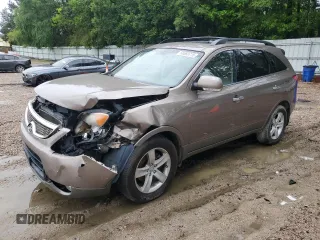 2010 Hyundai Veracruz Limited with VIN KM8NU4CCXAU136469, listed as a Copart auction lot 56583715 with 131,024 mi miles and Salvage title. Bid and sale history available at DreamBid. Image 1.