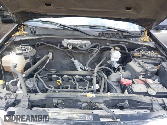 2010 Ford Escape XLT with VIN 1FMCU9D70AKD21499, listed as a IAAI auction lot 42039437 with 185,545 mi miles. Bid and sale history available at carsss.com. Image 10.
