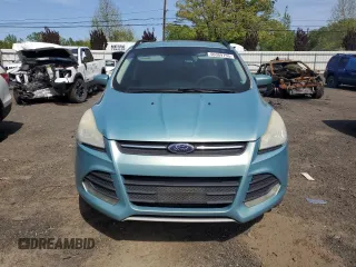 2013 Ford Escape SE with VIN 1FMCU9G93DUA76607, listed as a Copart auction lot 56309755 with 265,232 mi miles and Salvage title. Bid and sale history available at DreamBid. Image 5.