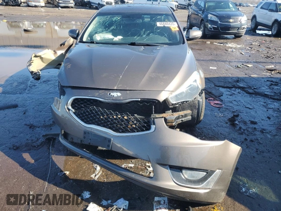 2014 Kia Cadenza Premium with VIN KNALN4D72E5164290, listed as a Copart auction lot 46880435 with Not Provided miles and Salvage Title. Bid and sale history available at DreamBid. Image 5.