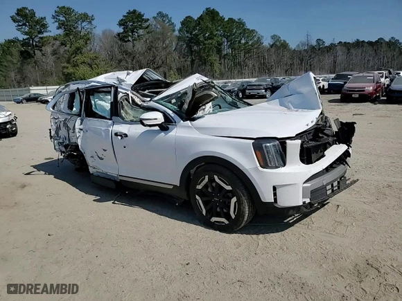2023 Kia Telluride EX with VIN 5XYP34GC3PG403438, listed as a Copart auction lot 46747975 with 34,190 mi miles and Salvage Title. Bid and sale history available at carsss.com. Image 12.