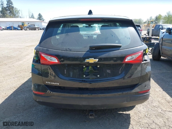 2019 Chevrolet Equinox LS with VIN 2GNAXHEV7K6212446, listed as a IAAI auction lot 42004161 with 123,863 mi miles. Bid and sale history available at carsss.com. Image 17.