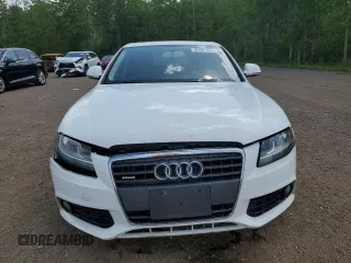 2009 Audi A4 with VIN WAULF68K59N025039, listed as a Copart auction lot 61571575 with Not provided miles and Salvage title. Bid and sale history available at DreamBid. Image 5.