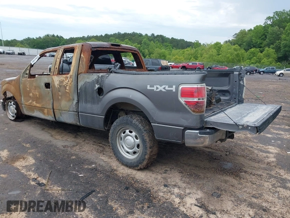 2013 Ford F-150 XL with VIN 1FTFX1ET6DFA75481, listed as a IAAI auction lot 42041991 with Not provided miles and . Bid and sale history available at DreamBid. Image 3.