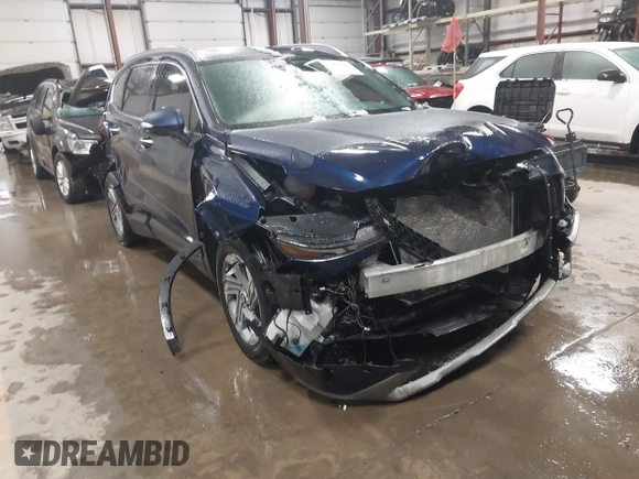 2023 Hyundai Santa Fe SEL z VIN 5NMS2DAJ0PH554523, wystawiony jako IAAI lot #41515888 z przebiegiem 50 419 mil mil oraz . Historia ofert i sprzedaży dostępna na DreamBid. Obrazek 6.
