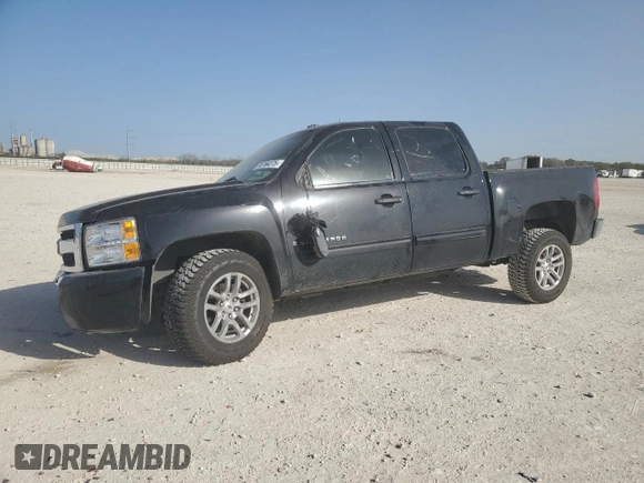 2009 Chevrolet Silverado 1500 LS with VIN 3GCEC13C29G241785, listed as a Copart auction lot 50194375 with 148,133 mi miles and Salvage Title. Bid and sale history available at DreamBid. Image 1.