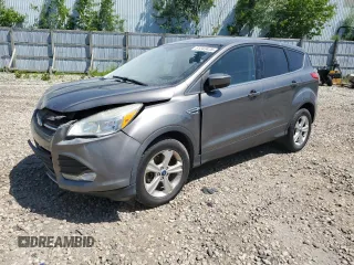 2014 Ford Escape SE with VIN 1FMCU9GX8EUB84916, listed as a Copart auction lot 61343435 with 204,501 mi miles and Non repairable. Bid and sale history available at DreamBid. Image 1.