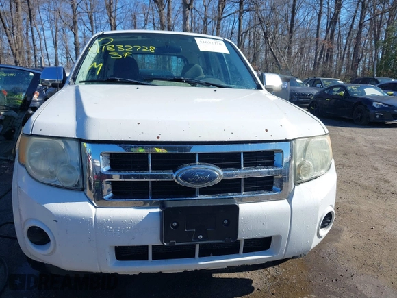 2008 Ford Escape XLS with VIN 1FMCU02Z88KA96033, listed as a IAAI auction lot 41832728 with 272,932 mi miles and . Bid and sale history available at DreamBid. Image 12.