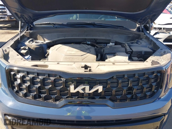 2024 Kia Telluride SX Prestige X-Pro with VIN 5XYP5DGC9RG552885, listed as a IAAI auction lot 42554187 with 10,482 mi miles and . Bid and sale history available at DreamBid. Image 10.