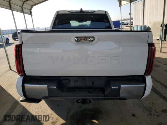 2022 Toyota Tundra Limited with VIN 5TFJA5ABXNX010225, listed as a Copart auction lot 41929245 with 28,476 mi miles and Salvage title. Bid and sale history available at DreamBid. Image 6.