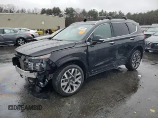 2023 Hyundai Santa Fe Calligraphy с VIN 5NMS5DAL5PH510168, выставлен на аукционе Copart как лот 51485925 с пробегом 31 547 миль миль и Списание • Salvage title. История ставок и продаж доступна на DreamBid. Изображение 1.