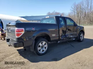 2014 Ford F-150 XL with VIN 1FTFX1EF1EFA81359, listed as a Copart auction lot 53727195 with 199,059 mi miles and Salvage Title. Bid and sale history available at DreamBid. Image 3.