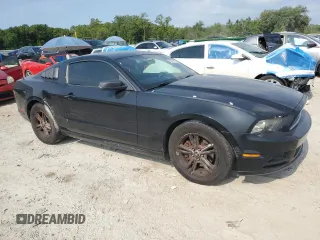 2013 Ford Mustang V6 с VIN 1ZVBP8AM2D5280255, выставлен на аукционе Copart как лот 62269195 с пробегом 152 031 миль миль и Чистый • Clean title. История ставок и продаж доступна на DreamBid. Изображение 4.