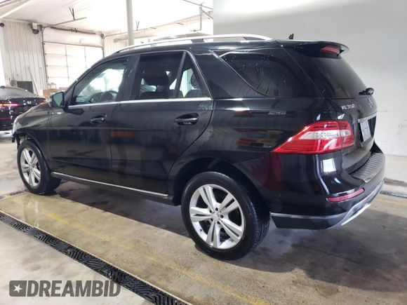 2014 Mercedes-Benz M 350 with VIN 4JGDA2EB2EA324276, listed as a Copart auction lot 53808515 with 199,264 mi miles and Salvage Title. Bid and sale history available at DreamBid. Image 2.