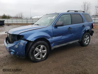 2009 Ford Escape XLT with VIN 1FMCU93G49KC81537, listed as a Copart auction lot 51544895 with 120,063 mi miles and Salvage Title. Bid and sale history available at carsss.com. Image 1.