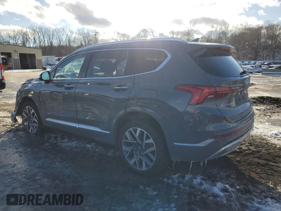 2023 Hyundai Santa Fe Calligraphy with VIN 5NMS5DAL6PH575630, listed as a Copart auction lot 44558445 with 33,897 mi miles and Salvage Title. Bid and sale history available at carsss.com. Image 2.
