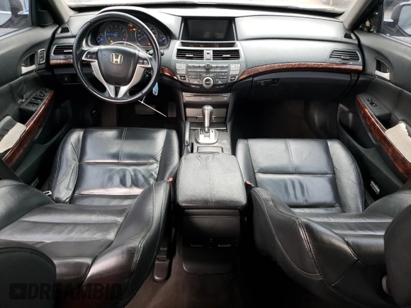 2010 Honda Accord Crosstour EX-L with VIN 5J6TF2H55AL001064, listed as a Copart auction lot 77971174 with 206,115 mi miles and Salvage Title. Bid and sale history available at carsss.com. Image 8.