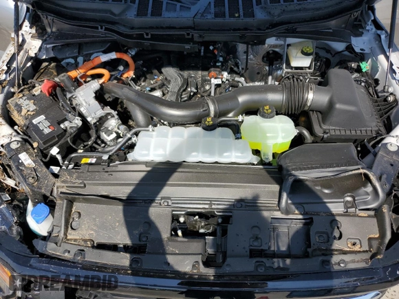 2024 Ford F-150 XLT with VIN 1FTFW3LD4RFB87701, listed as a Copart auction lot 48955865 with 1,203 mi miles and Salvage Title. Bid and sale history available at DreamBid. Image 11.