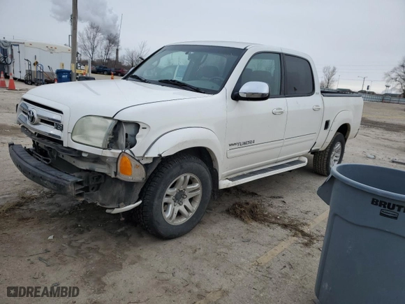 2004 Toyota Tundra SR5 with VIN 5TBDT44124S452448, listed as a Copart auction lot 46255295 with NaN miles and Salvage Title. Bid and sale history available at carsss.com. Image 1.