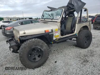 1995 Jeep Wrangler S with VIN 1J4FY19P9SP316266, listed as a Copart auction lot 88686725 with 121,561 mi miles and Salvage Title. Bid and sale history available at carsss.com. Image 1.