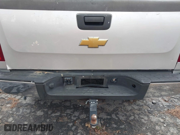 2013 Chevrolet Silverado 1500 LS with VIN 3GCPKREA2DG160722, listed as a IAAI auction lot 41262914 with 324,775 mi miles and . Bid and sale history available at DreamBid. Image 18.