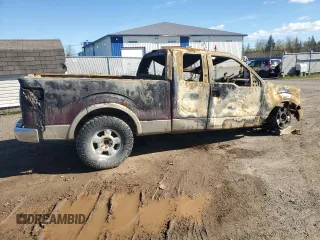 2010 Ford F-150 XL with VIN 1FTFX1EV7AFB02510, listed as a Copart auction lot 56640255 with Not provided miles and Non repairable. Bid and sale history available at DreamBid. Image 3.