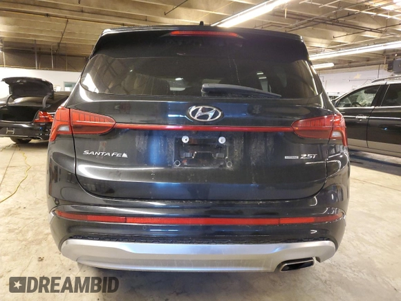 2021 Hyundai Santa Fe Calligraphy with VIN 5NMS5DAL5MH323833, listed as a Copart auction lot 41337795 with 54,484 mi miles and Salvage title. Bid and sale history available at DreamBid. Image 6.