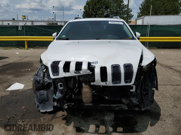 2014 Jeep Cherokee Limited with VIN 1C4PJMDS0EW140309, listed as a Copart auction lot 59203385 with 116,058 mi miles and Salvage title. Bid and sale history available at DreamBid. Image 5.