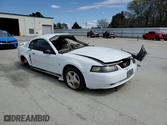 2003 Ford Mustang Standard with VIN 1FAFP40493F427703, listed as a Copart auction lot 49207945 with 0 mi miles and Salvage Title. Bid and sale history available at carsss.com. Image 10.