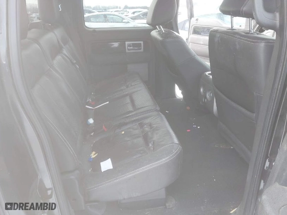 2010 Ford F-150 XL with VIN 1FTFW1EV9AFB66096, listed as a IAAI auction lot 41520470 with 155,513 mi miles. Bid and sale history available at carsss.com. Image 8.