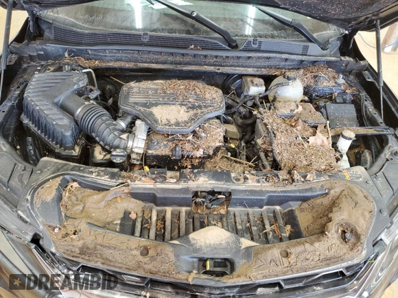2020 Chevrolet Blazer RS with VIN 3GNKBKRS2LS567270, listed as a Copart auction lot 46667955 with Not provided miles and Salvage title. Bid and sale history available at DreamBid. Image 12.