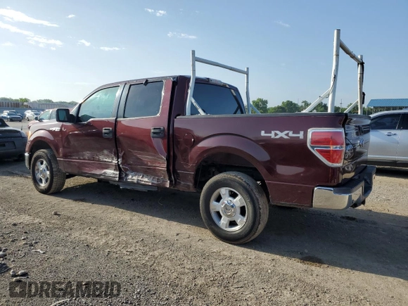 2009 Ford F-150 XL with VIN 1FTRW14889KC37087, listed as a Copart auction lot 58106134 with 225,464 mi miles and Salvage Title. Bid and sale history available at DreamBid. Image 2.