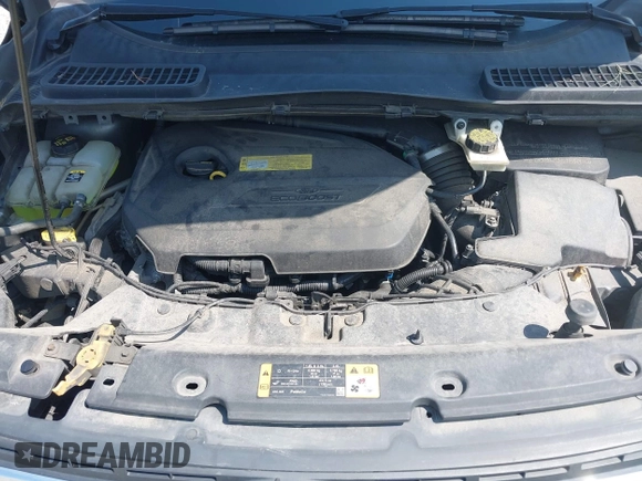 2013 Ford Escape SE with VIN 1FMCU0GX6DUB29519, listed as a IAAI auction lot 42281464 with 129,671 mi miles and . Bid and sale history available at DreamBid. Image 10.