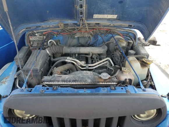 2002 Jeep Wrangler Sport with VIN 1J4FA49S32P762794, listed as a Copart auction lot 52132955 with 243,499 mi miles and Salvage Title. Bid and sale history available at carsss.com. Image 12.