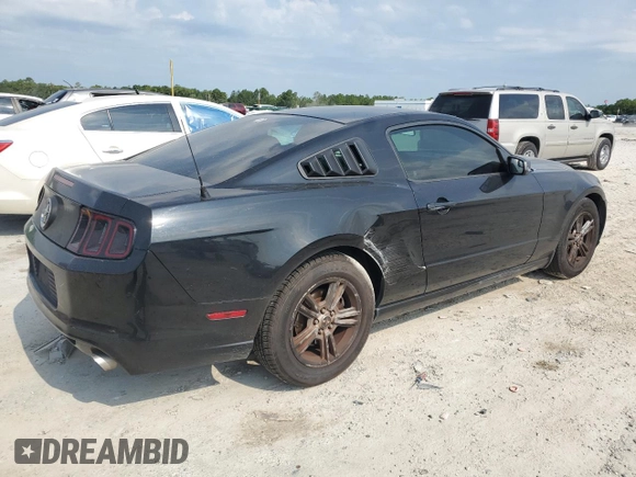 2013 Ford Mustang V6 с VIN 1ZVBP8AM2D5280255, выставлен на аукционе Copart как лот 62269195 с пробегом 152 031 миль миль и Чистый • Clean title. История ставок и продаж доступна на DreamBid. Изображение 3.