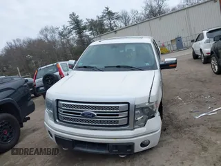 2014 Ford F-150 XL with VIN 1FTFW1ET0EFB74818, listed as a IAAI auction lot 41716068 with 120,436 mi miles. Bid and sale history available at carsss.com. Image 12.