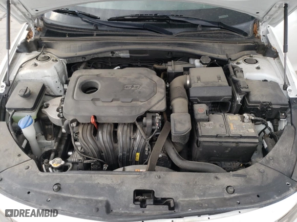 2019 Kia Optima LX with VIN 5XXGT4L31KG306497, listed as a Copart auction lot 61409194 with 48,831 mi miles and Salvage Title. Bid and sale history available at carsss.com. Image 12.