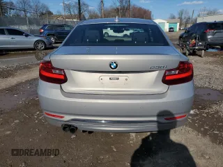 2017 BMW 2 Series 230i with VIN WBA2F9C58HV664464, listed as a Copart auction lot 50491425 with 36,290 mi miles and Salvage title. Bid and sale history available at DreamBid. Image 6.