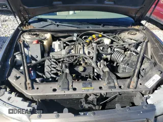 2002 Buick Regal GS with VIN 2G4WF551921162087, listed as a Copart auction lot 81184914 with 97,200 mi miles and Salvage Title. Bid and sale history available at carsss.com. Image 11.