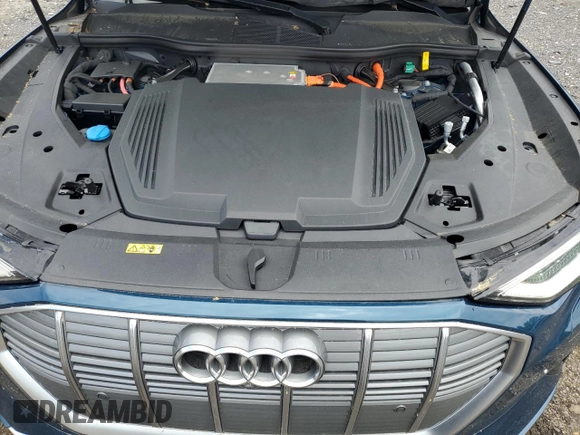 2019 Audi e-tron Prestige with VIN WA1VABGE2KB019280, listed as a Copart auction lot 53157365 with 53,912 mi miles and Salvage title. Bid and sale history available at DreamBid. Image 12.