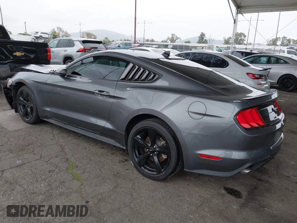2022 Ford Mustang EcoBoost with VIN 1FA6P8TH5N5142558, listed as a IAAI auction lot 42025156 with 24,069 mi miles and . Bid and sale history available at DreamBid. Image 3.