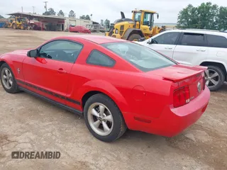 2008 Ford Mustang Deluxe with VIN 1ZVHT80N885141477, listed as a IAAI auction lot 42083598 with 183,647 mi miles. Bid and sale history available at carsss.com. Image 3.