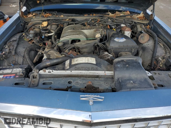 1987 Ford Ltd Crown Victoria with VIN 2FABP73F5HX115600, listed as a Copart auction lot 74781524 with 21,565 mi miles and Salvage Title. Bid and sale history available at carsss.com. Image 11.