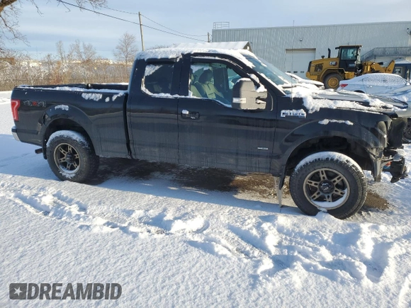2016 Ford F-150 XLT with VIN 1FTEX1EP8GFB72703, listed as a Copart auction lot 42922645 with 161,682 mi miles and Salvage Title. Bid and sale history available at carsss.com. Image 4.